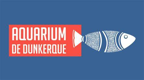 Featured image of post L'aquarium municipal de Dunkerque
