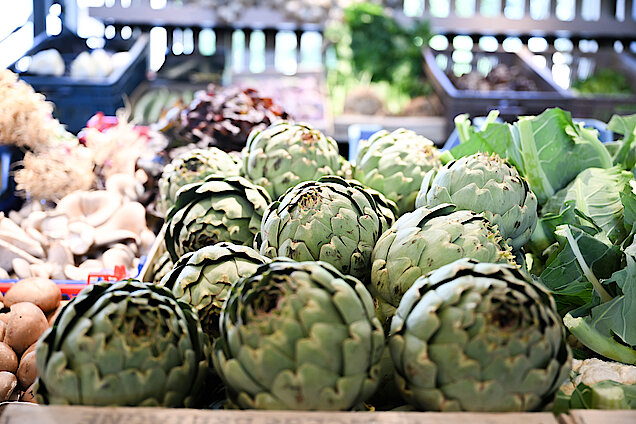 images/Pasted image 20250611230303.png